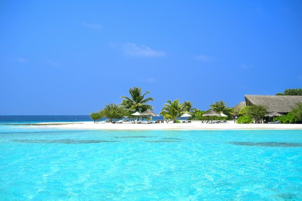 Nosy be : un voyage au cœur de la nature malgache