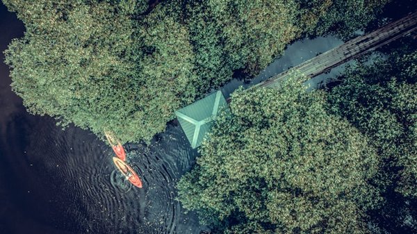 Peut-on trouver des croisières offrant des séminaires sur la biodiversité des mangroves?